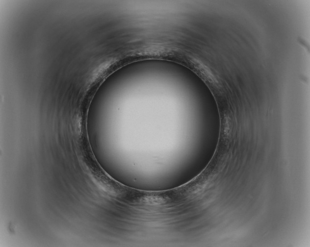 X0000098210636200804241322