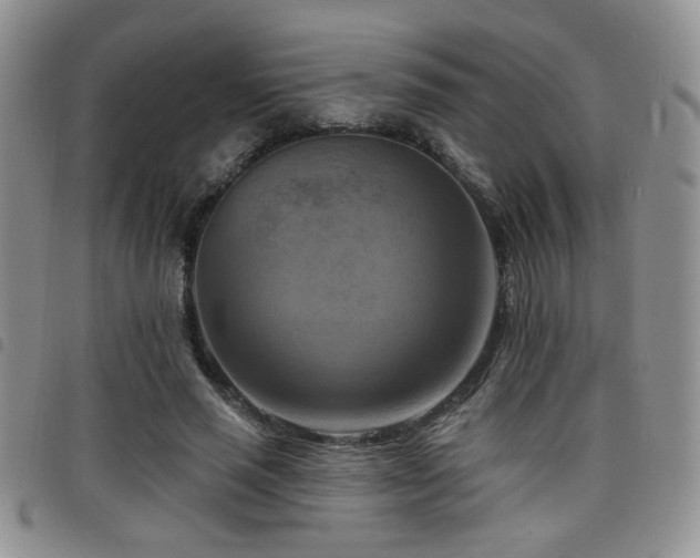 X0000098210637200804241322