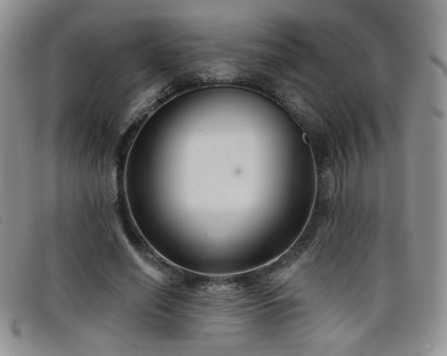 X0000098210638200804241322
