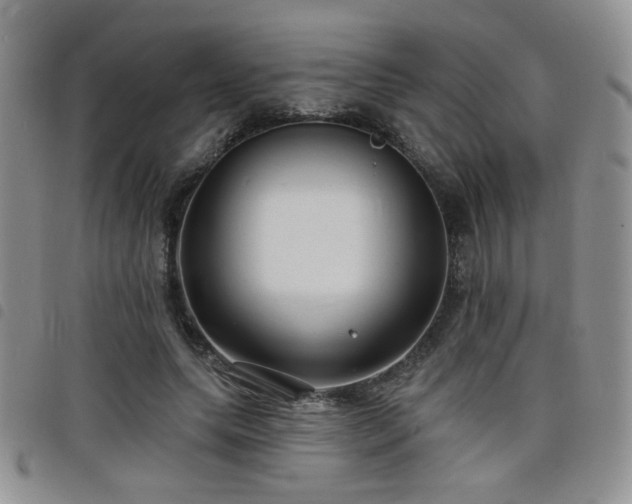X0000098210639200804241322
