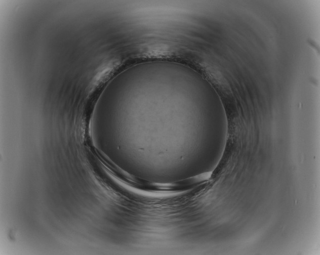 X0000098210640200804241322