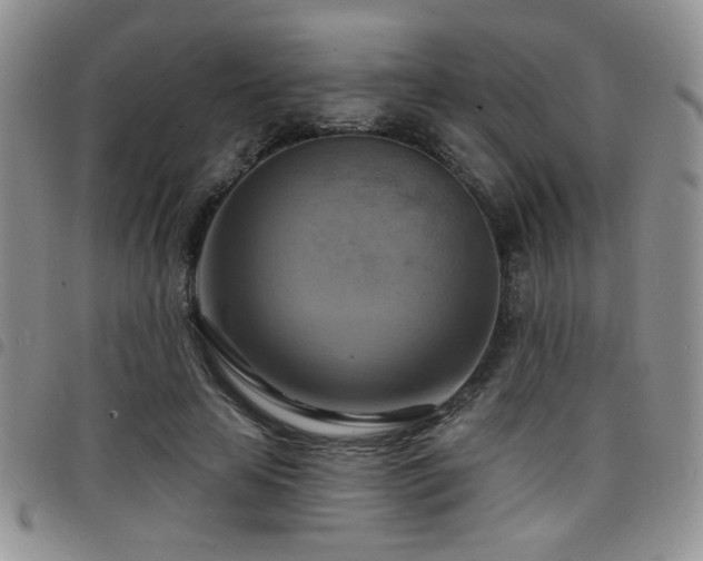 X0000098210641200804241322