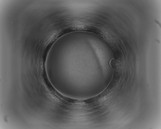 X0000098210642200804241322