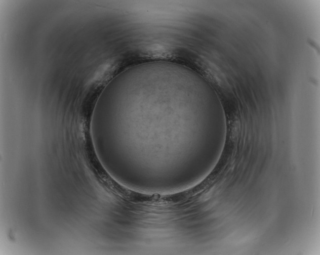 X0000098210643200804241322