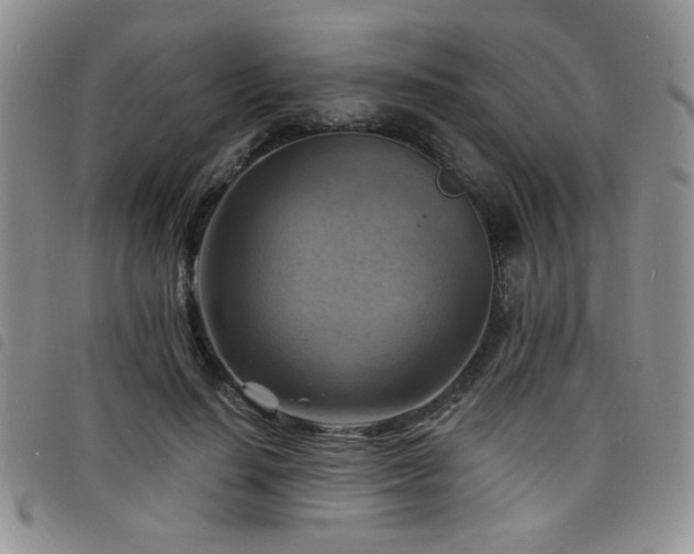 X0000098210644200804241322