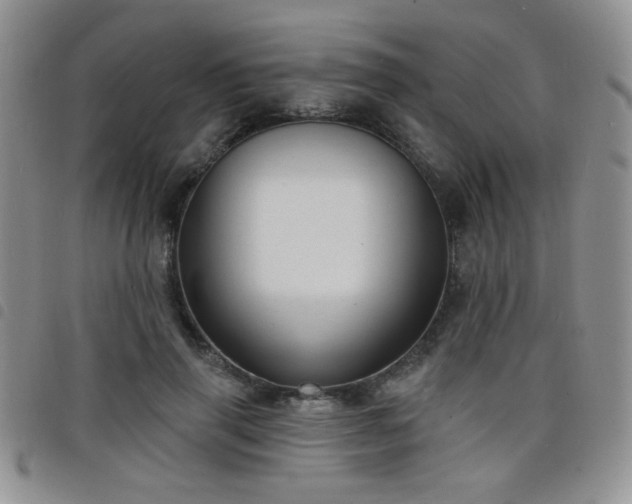 X0000098210645200804241322