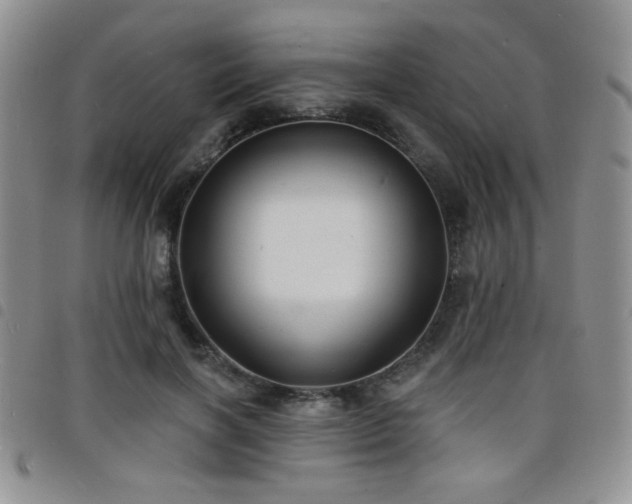 X0000098210646200804241322