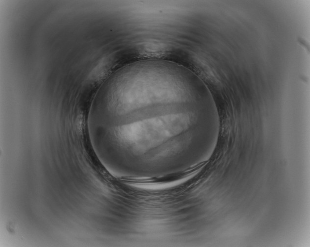 X0000098210647200804241322