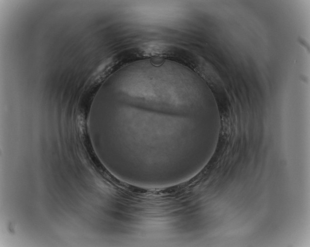 X0000098210648200804241322