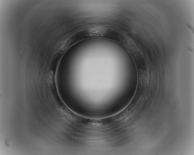 X0000098210649200804241322