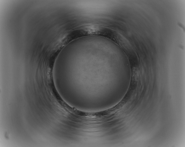 X0000098210650200804241322