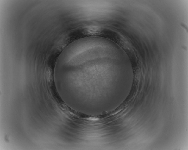 X0000098210651200804241322