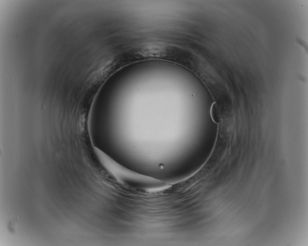 X0000098210652200804241322