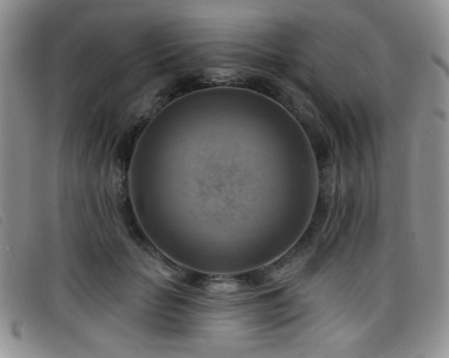 X0000098210653200804241322