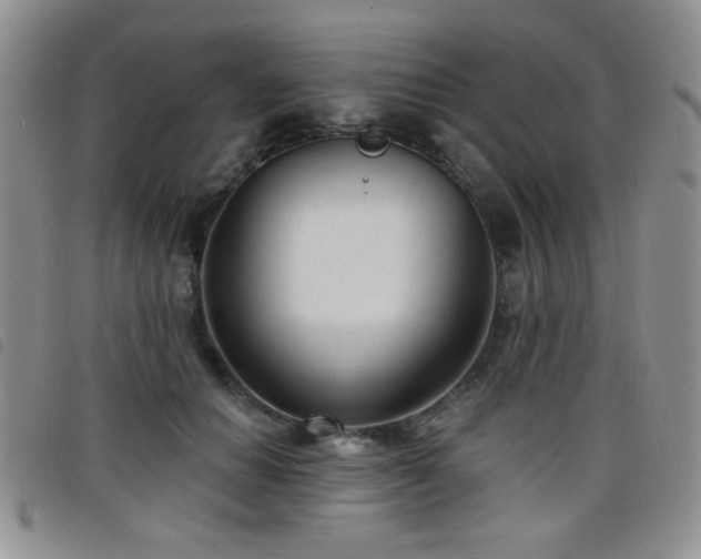 X0000098210654200804241322