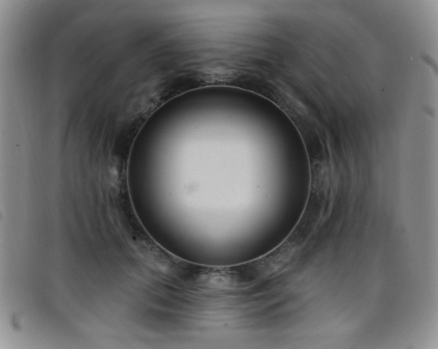 X0000098210655200804241322