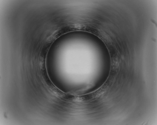 X0000098210656200804241322