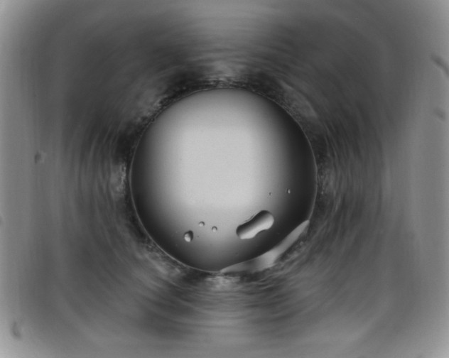 X0000098210660200804241322