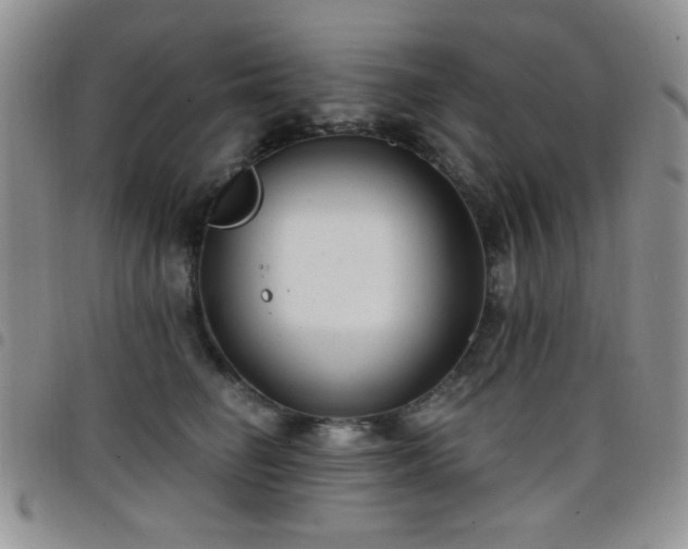 X0000098210662200804241322