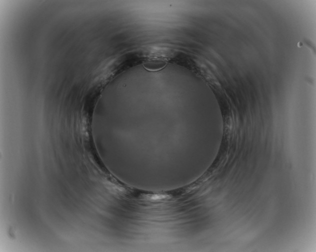 X0000098210663200804241322
