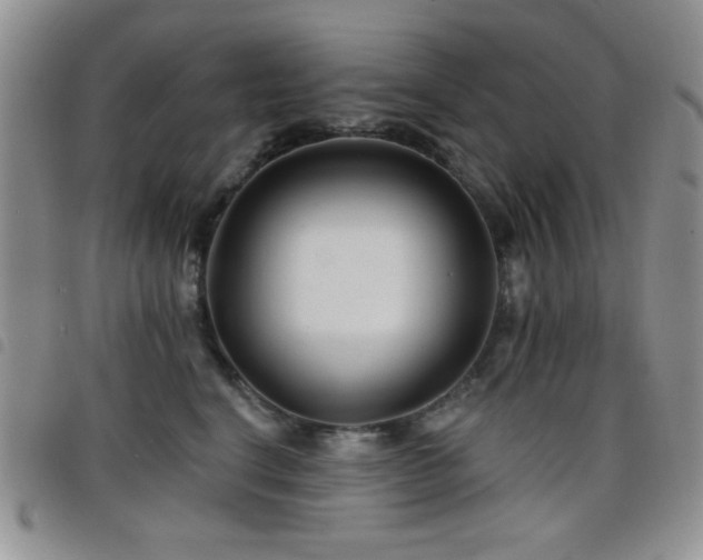 X0000098210664200804241322