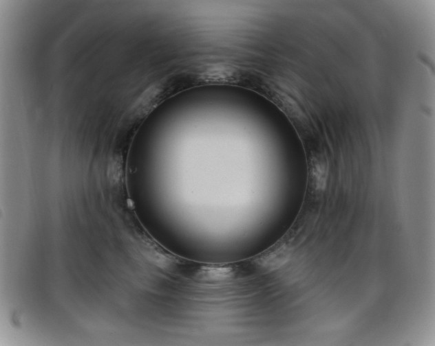 X0000098210665200804241322