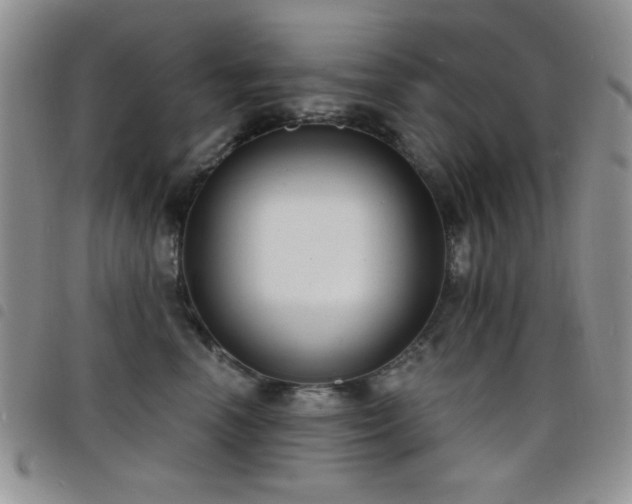 X0000098210666200804241322