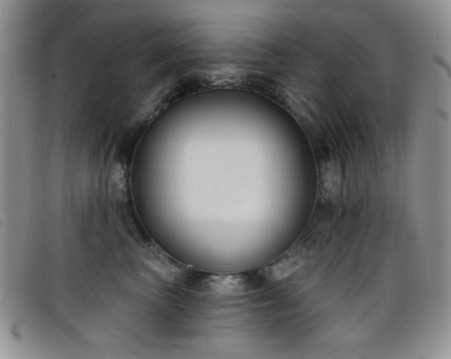 X0000098210667200804241322