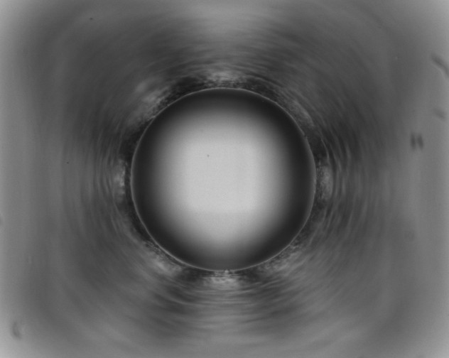 X0000098210668200804241322