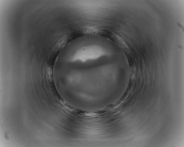 X0000098210669200804241322