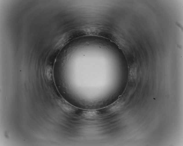 X0000098210671200804241322