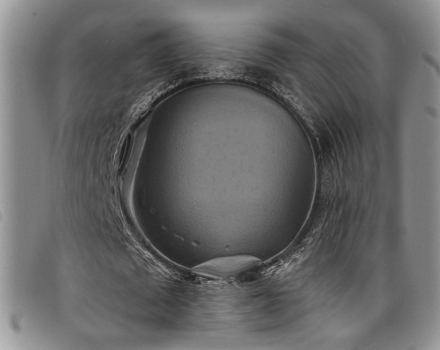 X0000098210673200804241322