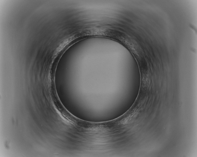 X0000098210674200804241322