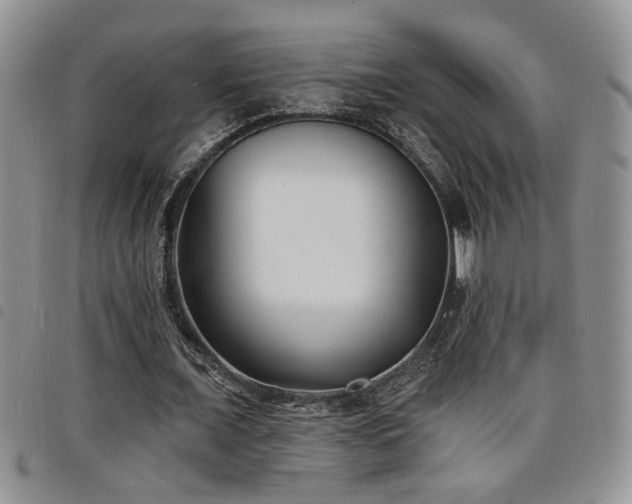 X0000098210675200804241322