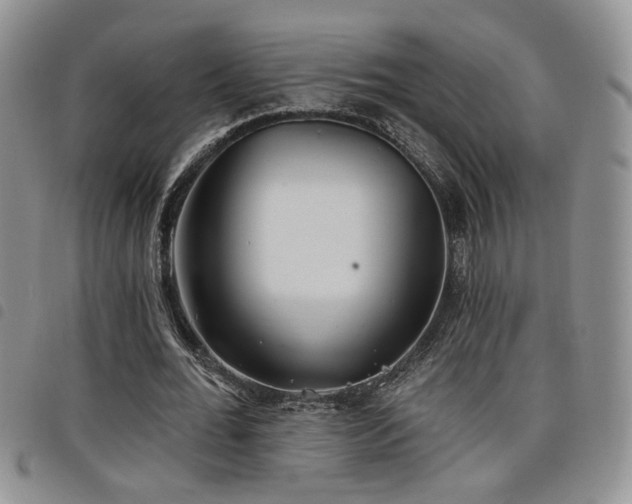 X0000098210676200804241322