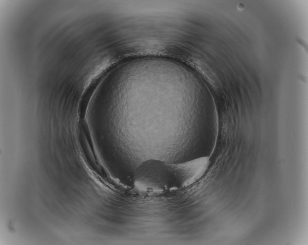 X0000098210677200804241322