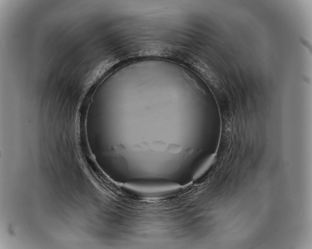 X0000098210678200804241322