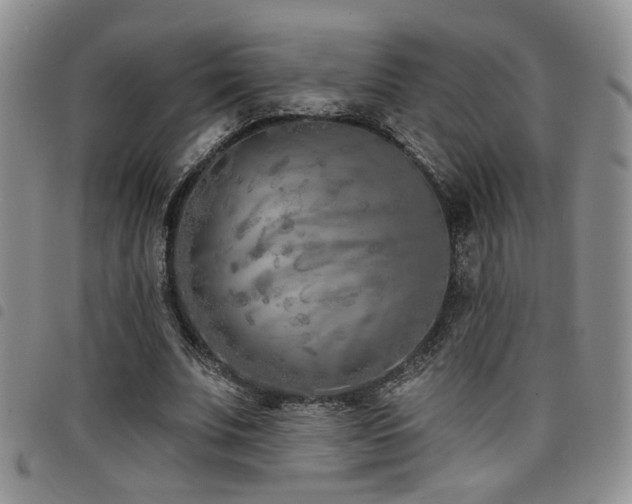 X0000098210679200804241321