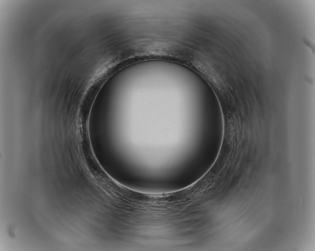 X0000098210680200804241321