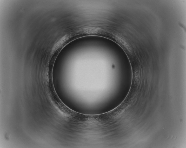 X0000098210682200804241321