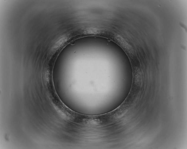 X0000098210683200804241321