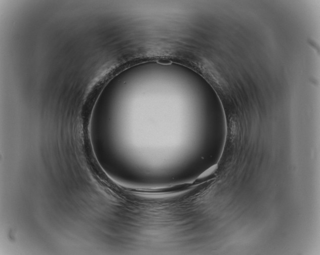 X0000098210684200804241321