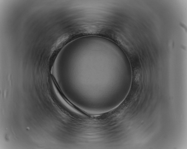X0000098210685200804241321