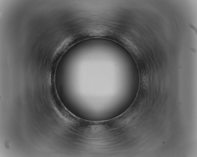 X0000098210686200804241321