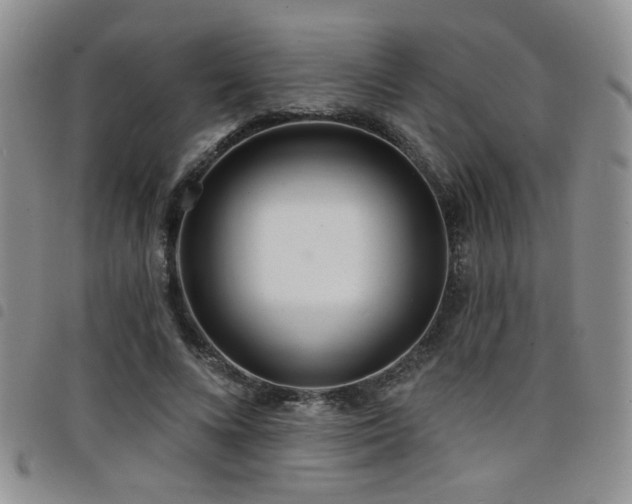 X0000098210688200804241321