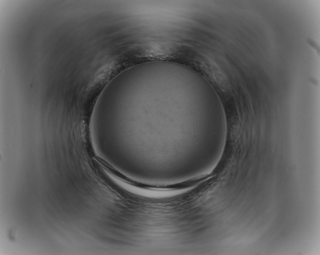 X0000098210689200804241321