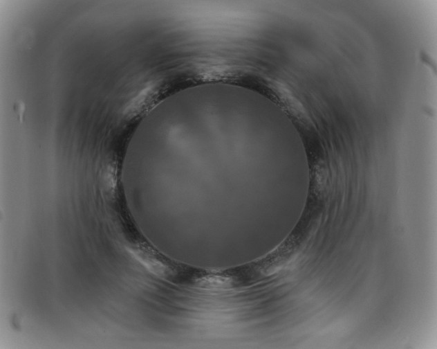 X0000098210691200804241321