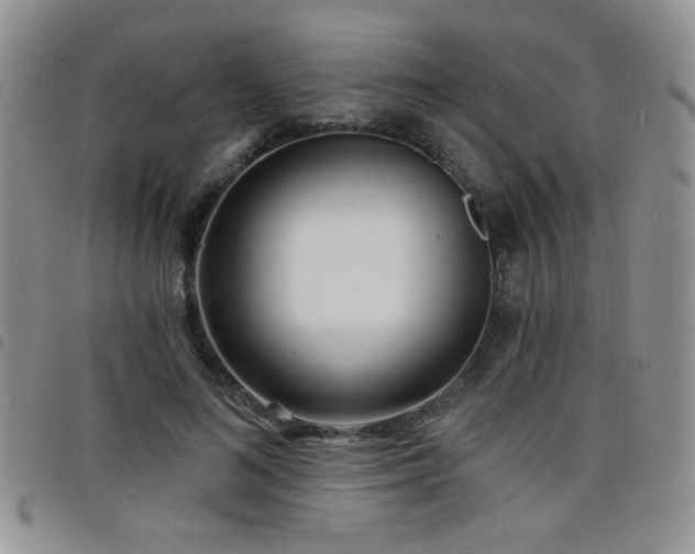 X0000098210692200804241321