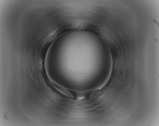 X0000098210693200804241321