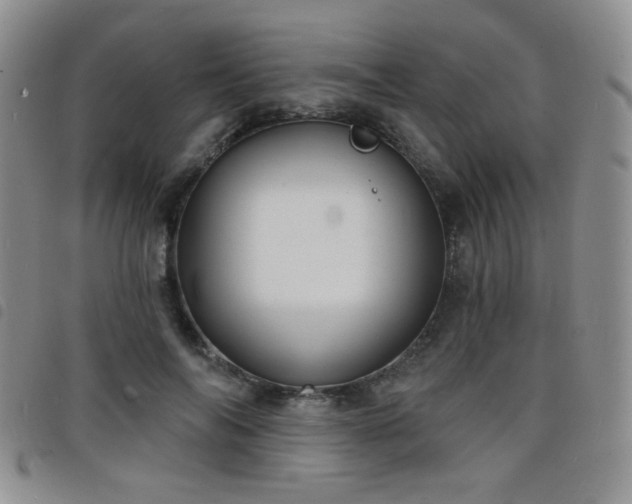 X0000098210694200804241321